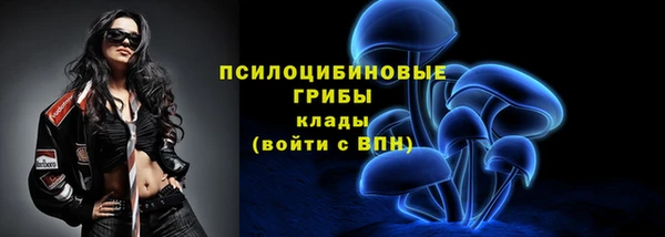 спиды Абдулино
