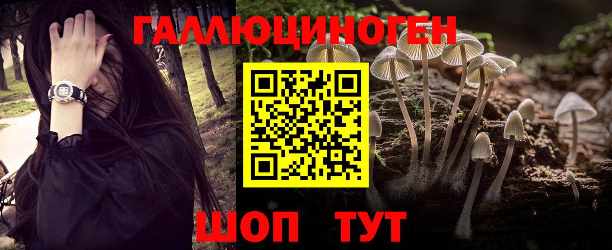 Псилоцибиновые грибы мицелий  Вход с VPN  Златоуст 
